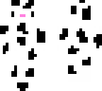 dalmation