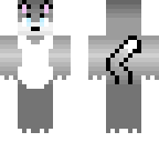 siamese kitten boy