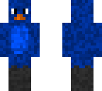 blue hider