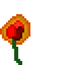 rose on fire