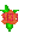 101 flowers