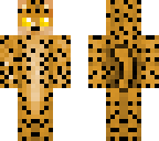 cheetah