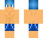 swimming trunks