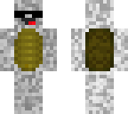timolp2k