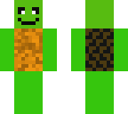 turtle