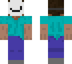 steve's mask