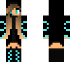 blue ninja