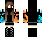 element ninja
