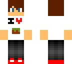 minecraft lover