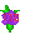 110 flowers