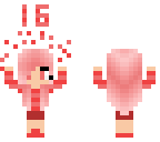 16 followers