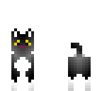 black cat