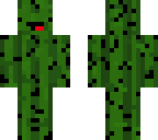 derpy cactus guy