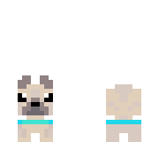 mini pug