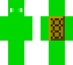 nyceturtle