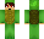 turtle person