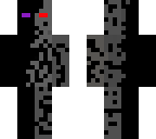 terminator endermann