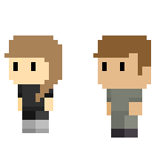 the twins