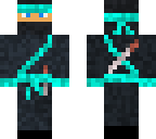 turquoise ninja
