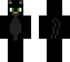 black cat