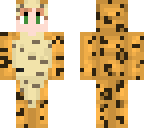 covertninja