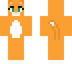 cute orange cat