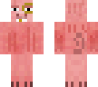 dr porkey