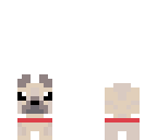 pug