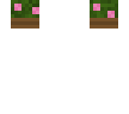 flower box