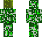 bush face