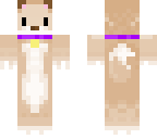 brown puppy
