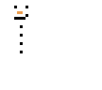 snow man