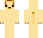 lion skin