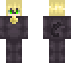 chat noir edited