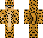 cheetah