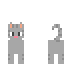 grey tabby