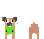 montana-the-dog