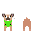 montana-the-dog