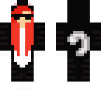 spy kitty