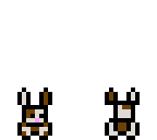 bunny