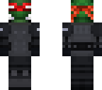 turtle