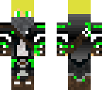 green ninja