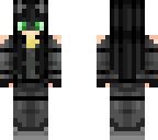 chat noir