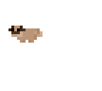 pug