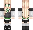 the skin