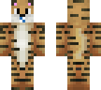 tiger cuty