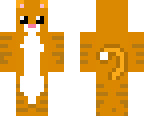 cute cat