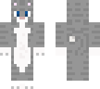 grey tabby cat