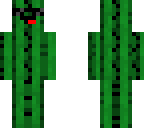 mr cactus