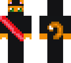 ninja cat for my bro